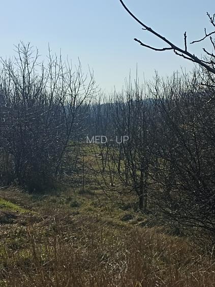 Comuna Pamntelimon aproape lac 2 loturi x 303 mp - 5