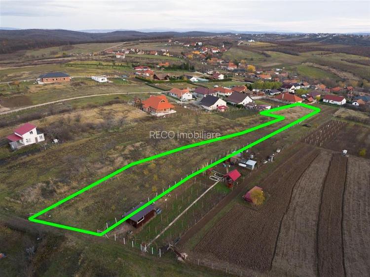 RECO . Teren intravilan Saldabagiu de munte . - 6