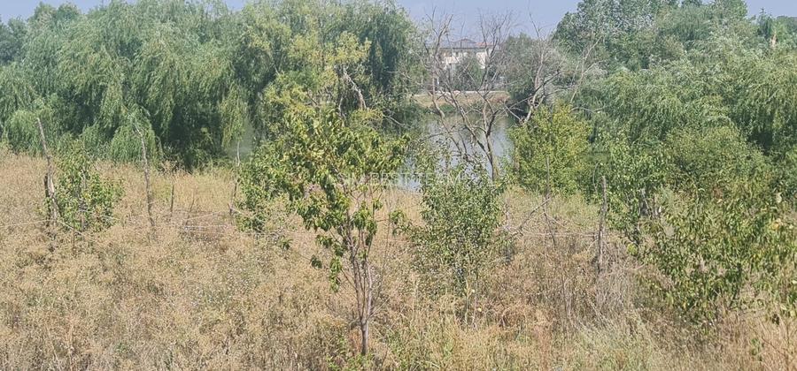 Teren Corbeanca Tamasi vsv de Paradisul verde 16000 mp deschidere lac - 7