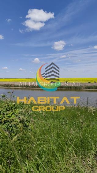 Teren 495 mp | Malul lacului | Rate 24 luni | Frumusani - 7