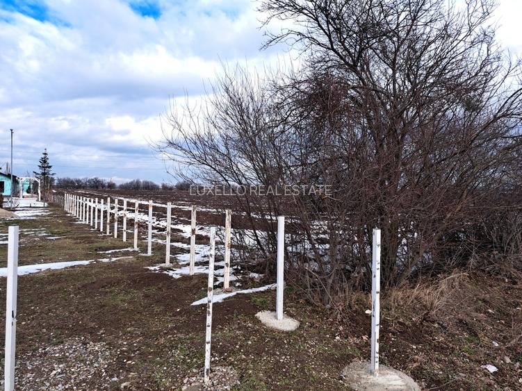 TEREN SNAGOV LANGA ARTIST THE BARN - 5