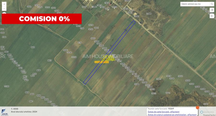 Teren agricol 12.500 mp | Deschidere directă DN61 | Dublu acces | Corbii Mari - 2
