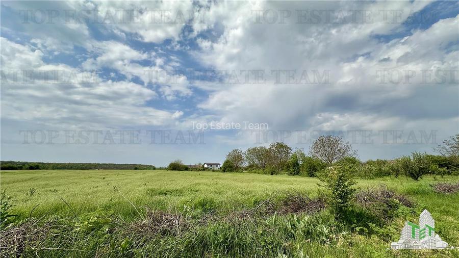 Teren intravilan de vanzare Comuna Ganeasa - 3