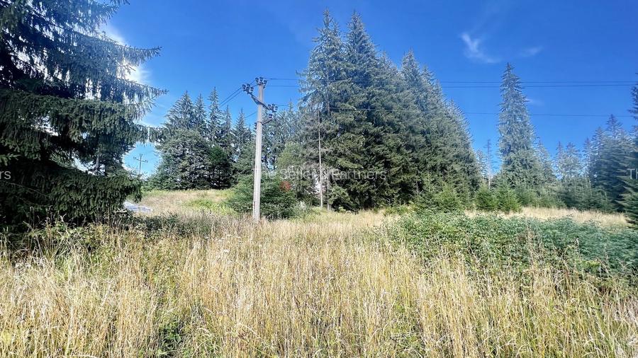 Teren Intravilan Predeal - Acces direct DN - Priveliste deosebita - 26