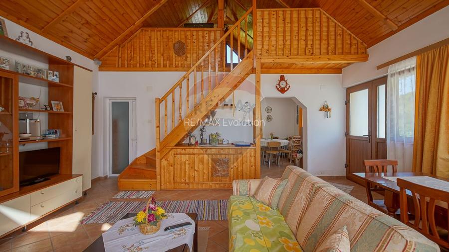 Vilă în zona Glăjărie, 10 camere, Sp + E + M, teren 2789 mp - 30