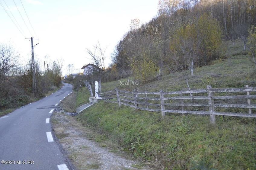 Babana - Centru - Primarie, Teren intravilan 13742 mp! - 5