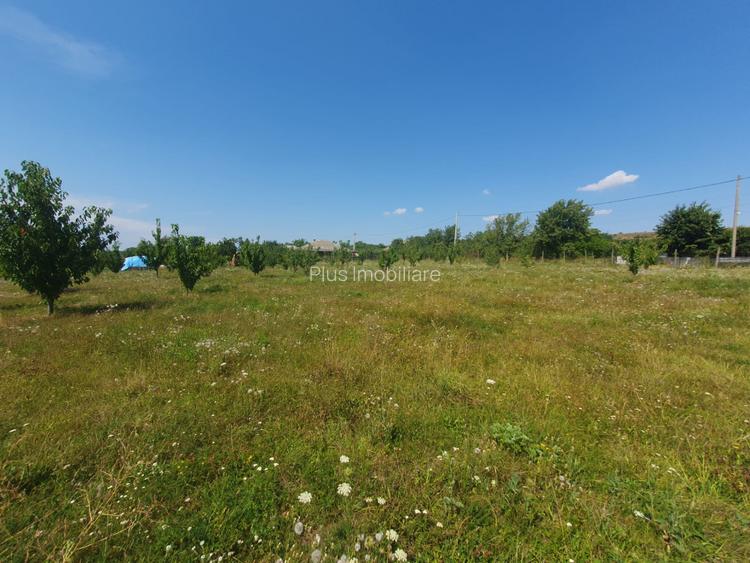 Casa  moderna mobilata cu beci 165mp +3000mp teren Cotnari - 32