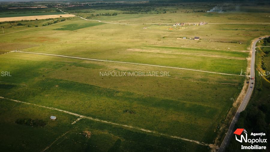 Teren superb zona Valea Avrigului - 4