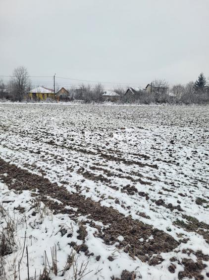 teren intravilan Baicoi - 2