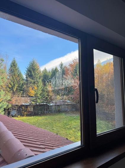 Pensiune/ Vila Valea Avrigului - 19