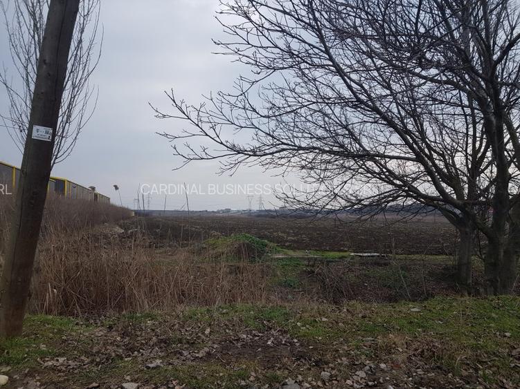 Glina, str. Morii, teren intravilan 10000 mp - 7