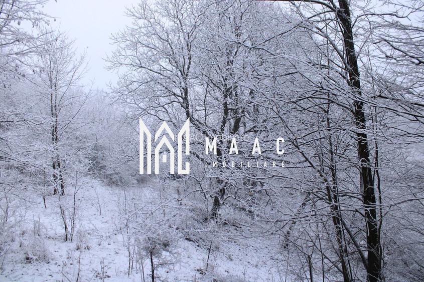 Teren cu izvor de apă minerală  Dangești, Punctul Valea Mare - 35