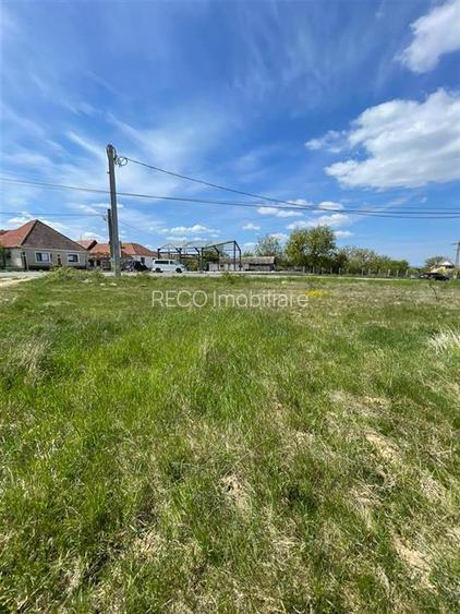 RECO Teren intravilan cu casa in rosu, Zona Vadu Crisului, Bihor - 22
