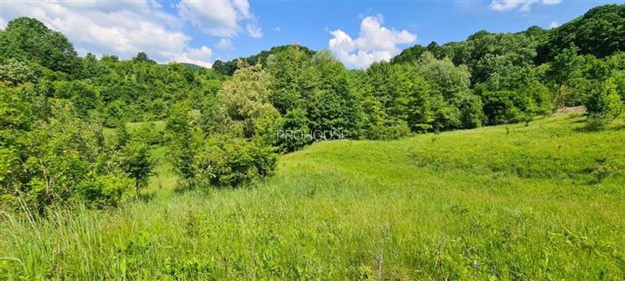 Teren 2033 mp- langa padure-  Margineni- Podis Dubas - 6