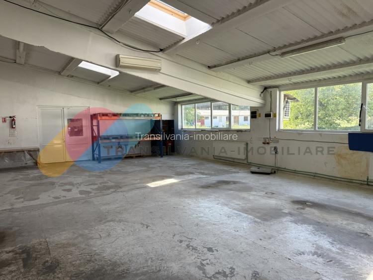 Complex industrial de vanzare – 2 hale productie + cladire birouri + parcare, ac - 17