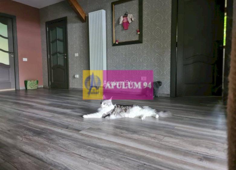 Casă de vânzare în Provița de Jos - 28