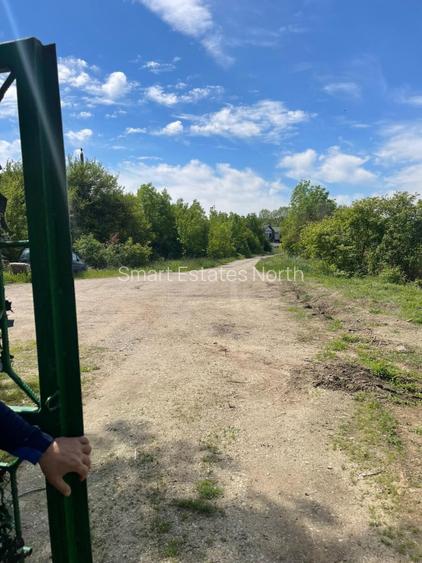 Teren 1000 MP d 24 m la lac | Snagov Gruiu | Pozitie excelenta - 8