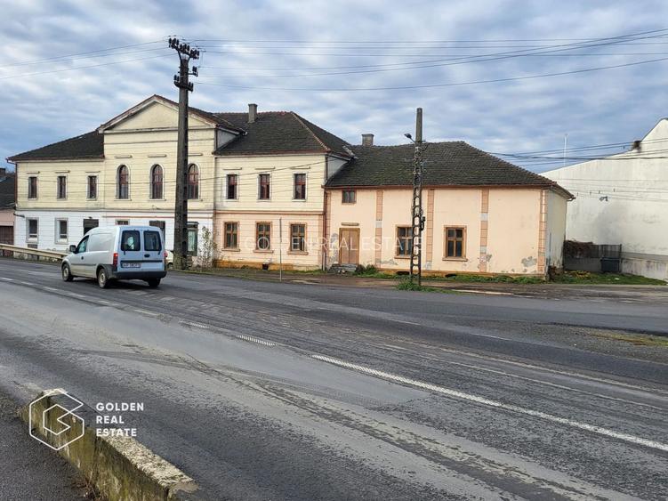 Proprietate tip conac, teren 4468 mp, oras Lipova - 5