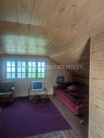0% COMISION!!! CASA CU LAC IN INIMA PADURII  - DEALU BRADULUI - 9