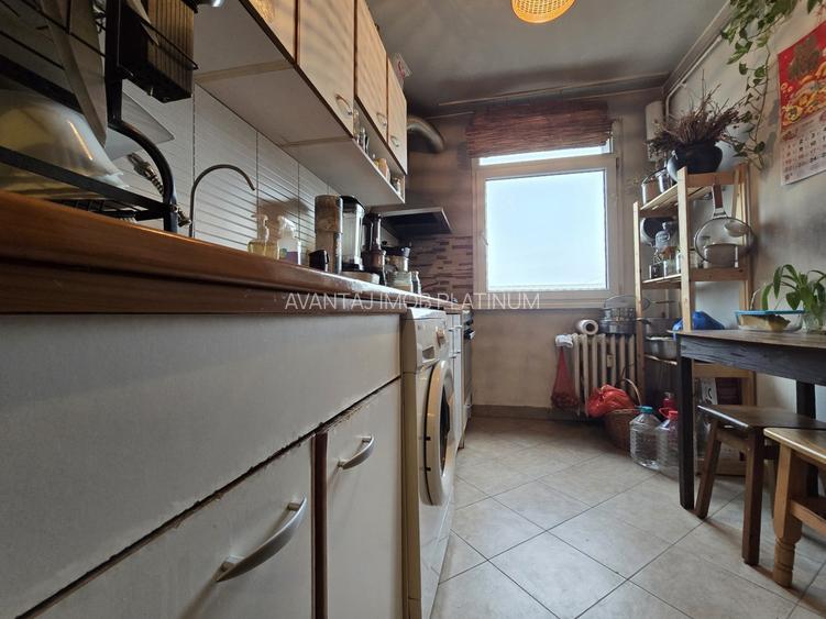 Baba Novac, apropiere Parc IOR si Mall Park Lake - 12