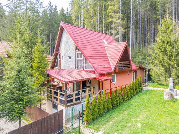 Vila cocheta în Azuga, lângă pădure, cu priveliște superbă la munți - 19