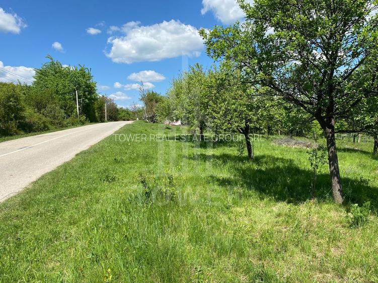 Teren premium 1000 mp-Sibiel - 6