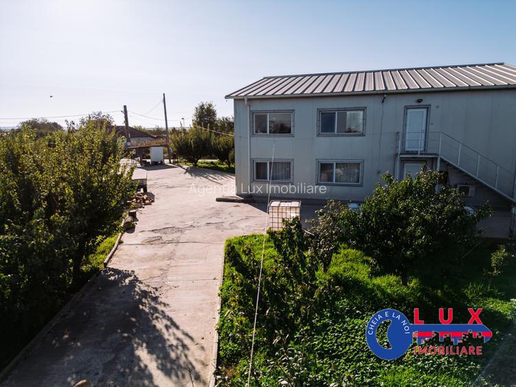 ID 7785 LIVADA SABANGIA DE VÂNZARE - 8