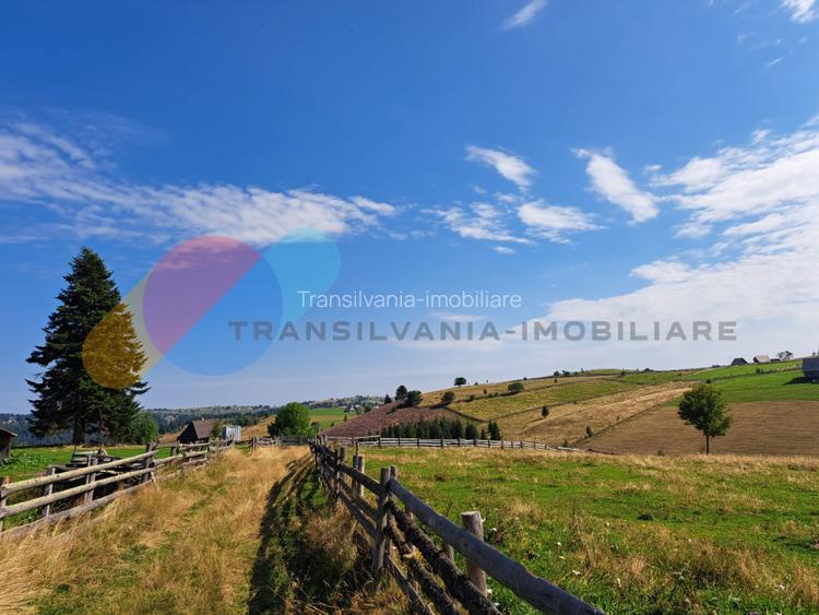 Teren Intravilan 1587 mp, Localitatea Maguri-Racatau - 13