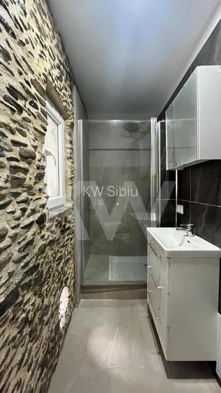 Casa individuala 2 camere Saliste Sibiu - 15