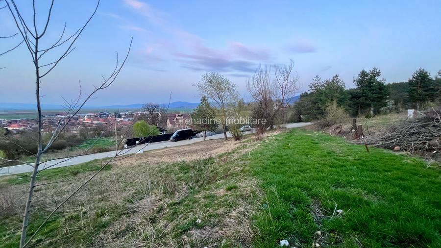Teren Intravilan 495 mp – Zonă Liniștită - Strada Livezii - 7