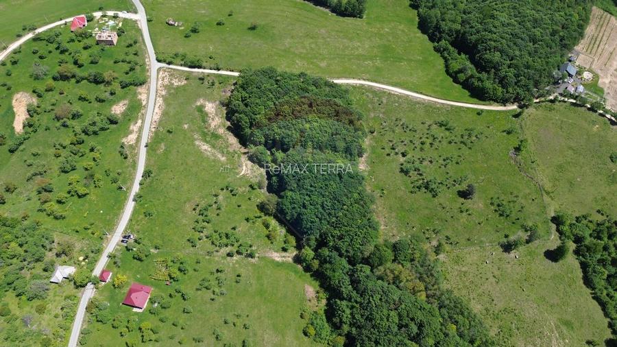 Teren intravilan de vanzare 55 600 mp Codru Butesii - 7