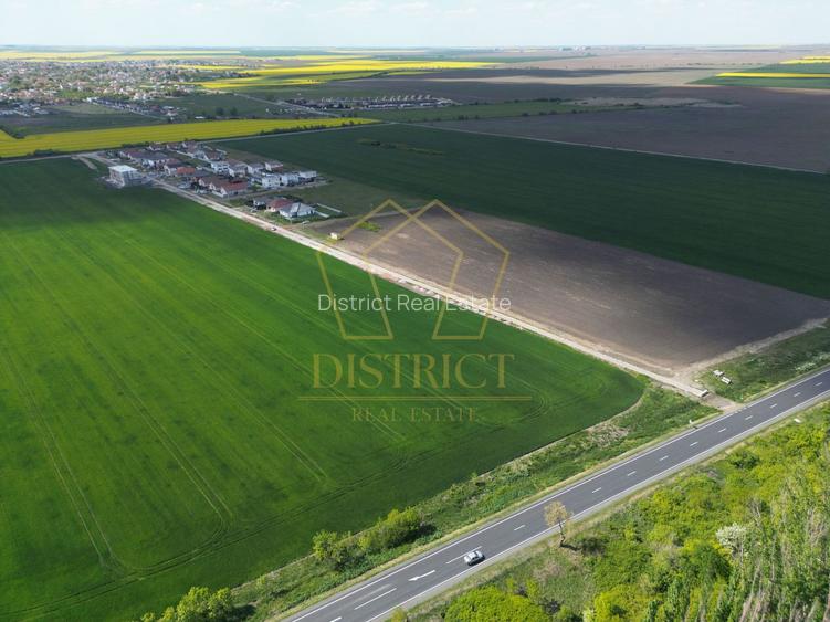 COM 0% Teren industrial pretabil hale, servicii | DN69 Sanandrei - 4