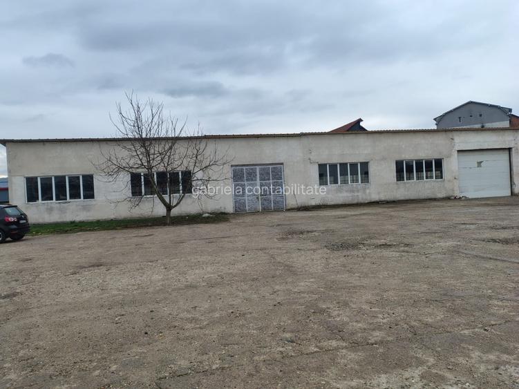 Spatiu de inchiriat pentru birouri / depozit / hala productie / service auto - 3