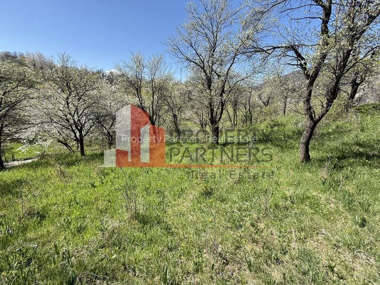 Teren 2500 mp Sohodol - 12