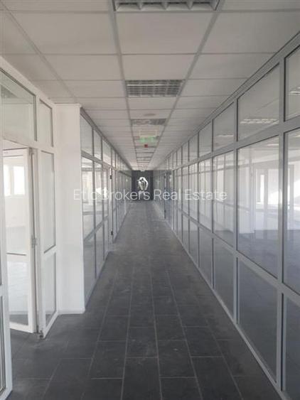 Vanzare hala 2750 mp si Cladire de birouri, Industriilor, Chiajna, acces usor A0 - 10