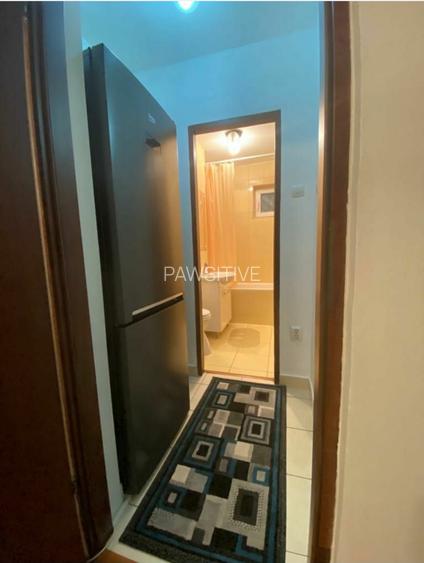 Tineretului Parc,Garsonieră Moderna - 3