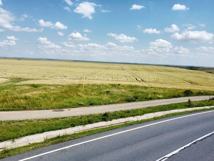 Teren la sosea Ortisoara - Autostrada A1 - 16