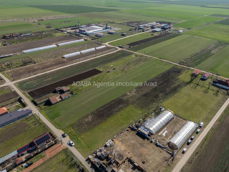 Teren 3.600 mp în Curtici, 2 fronturi stradale – La doar 20 km de Arad - 3