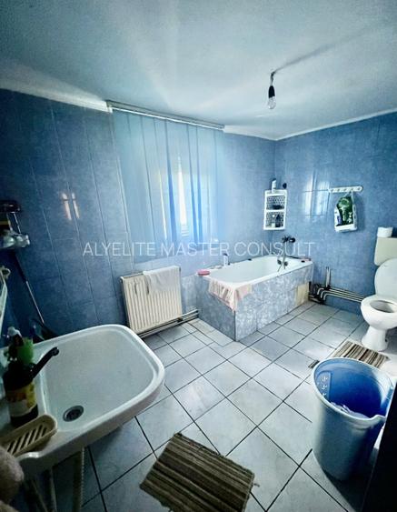 CASA MOARA GRECILOR,VASLUI - 8