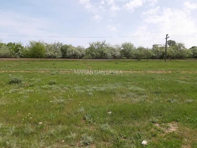 Vand Teren 25m Deschidere Directa la Lac, Intravilan-Construibil, 700mp(25x28m) - 3