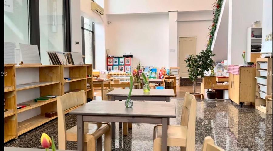 Vilă individuală 17 camere, 850 mp teren | Grădiniță / clinică | Iancu Nicolae - 3