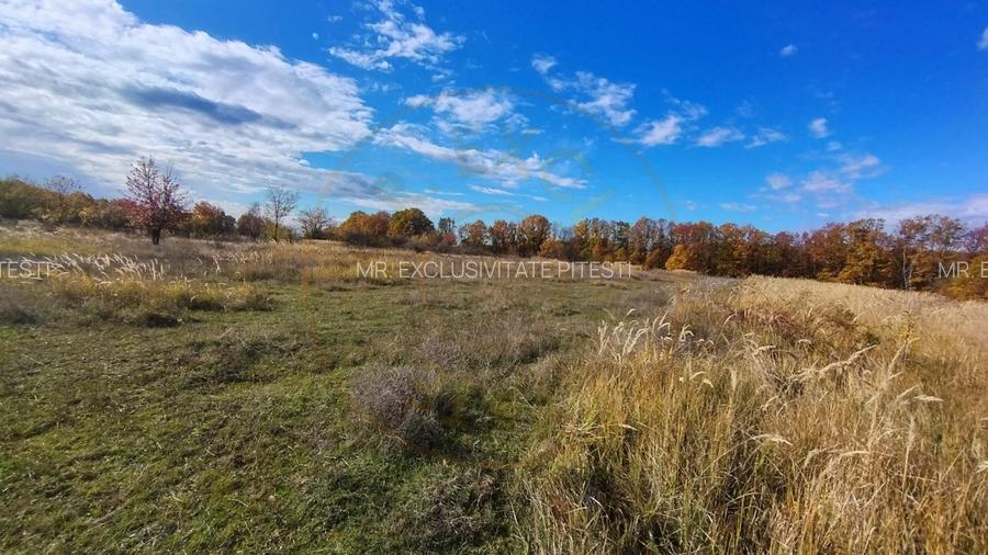 Teren 10200 mp Mosoaia - 9