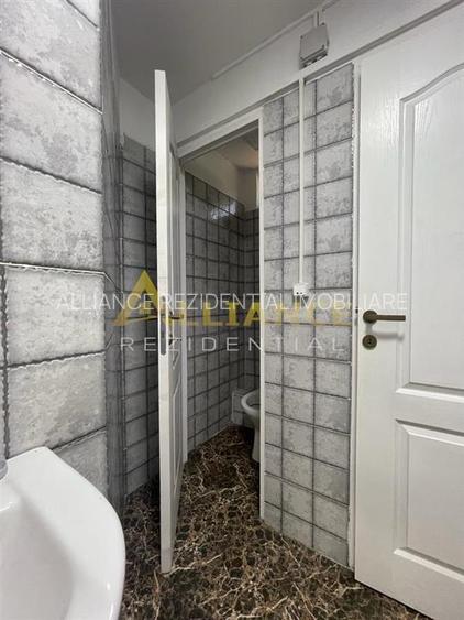 Brancoveanu-Nitu Vasile | Casa Individuala- D+P+1+M - 24