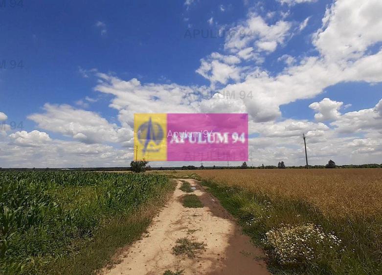 Teren 715mp în Snagov lângă Equestria - 33