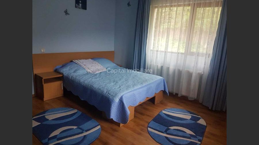 Holiday house/pension in Dâmbovicioara, Argeș - 7