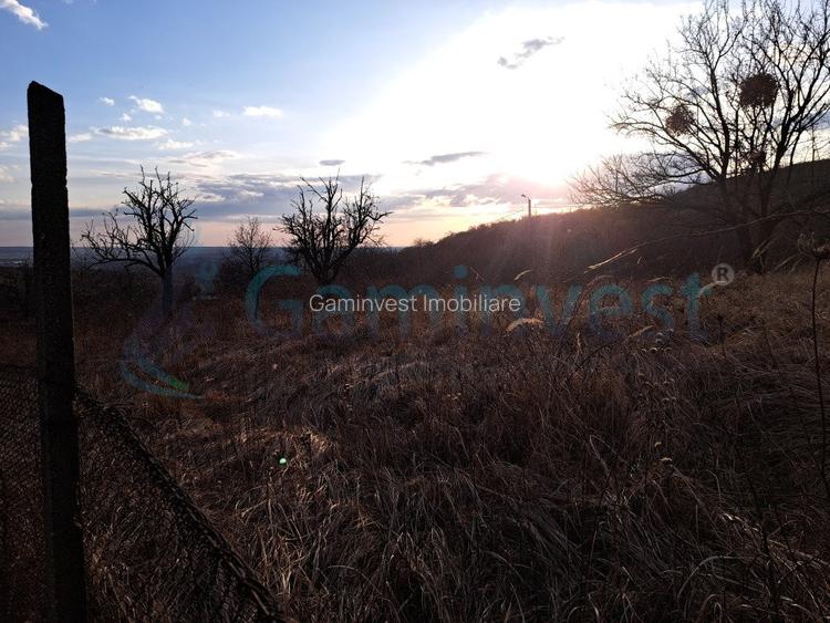 Teren intravilan de 3250 mp in Podgoria, de vanzare, Bihor - 2