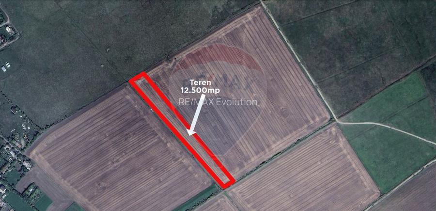 Teren 12.500 mp/Extravilan/ Dumbrava-Prahova - 3