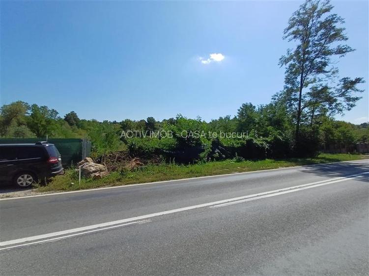 Resita, Teren Intravilan 5615 Mp., 25 Euro Mp., Calea Caransebesului, Memento - 14