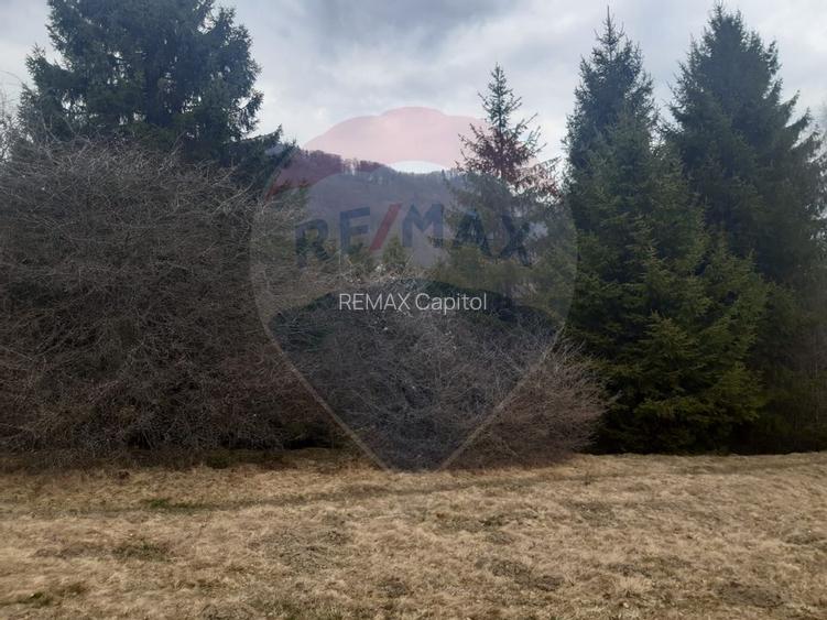 Teren Rasnov/ Soseaua Predealului DN73B - 6