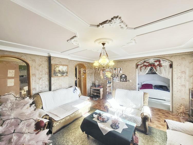 Domeniu premium aproape de granița româno-ungară –în Battonya - 2